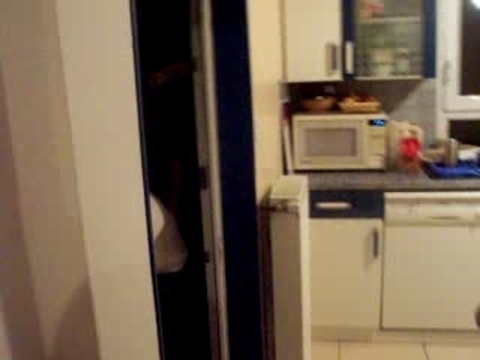 Fools garden lemon tree