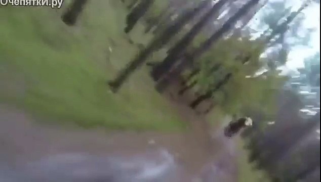 Приколы для взрослых 18 2017 Реакции на медведя Америка и Россия