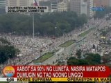 UB: Aabot sa 90% ng Luneta, nasira matapos dumugin ng tao noong Linggo