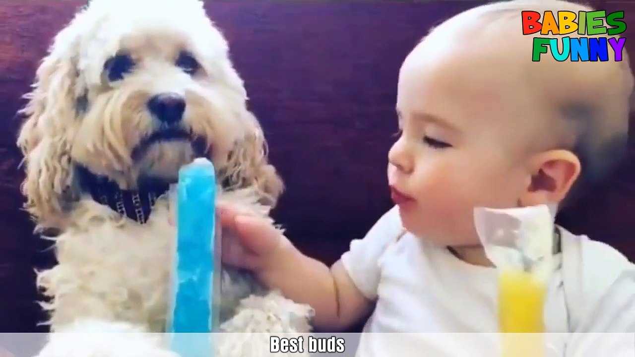 Funniest Babies Ever 2017