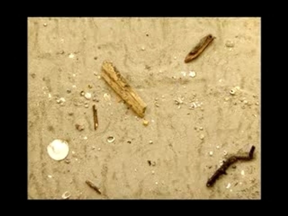 ERNESTO MORA - Artiste peintre