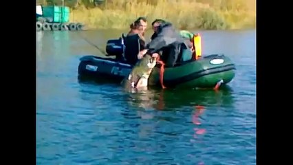 Приколы на рыбалке    !!! РЖАКА