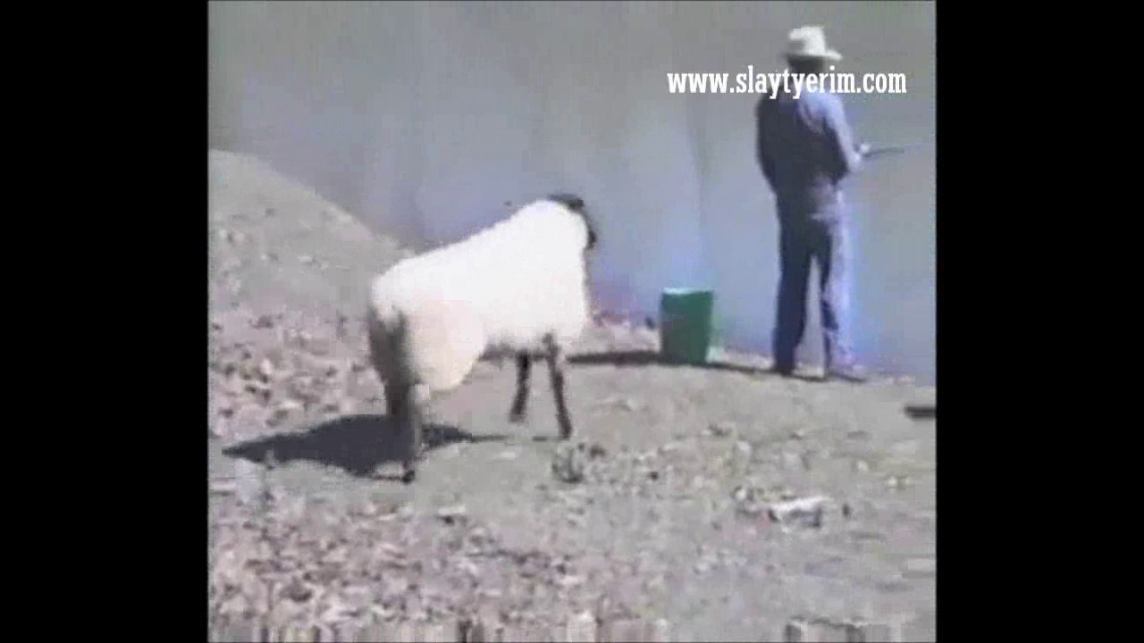 Kocum Benim