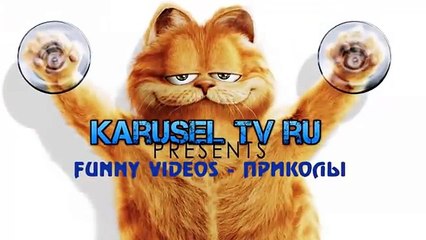 ПРИКОЛЫ 2015  Подборка лучшего 2015 Funny videos! #11