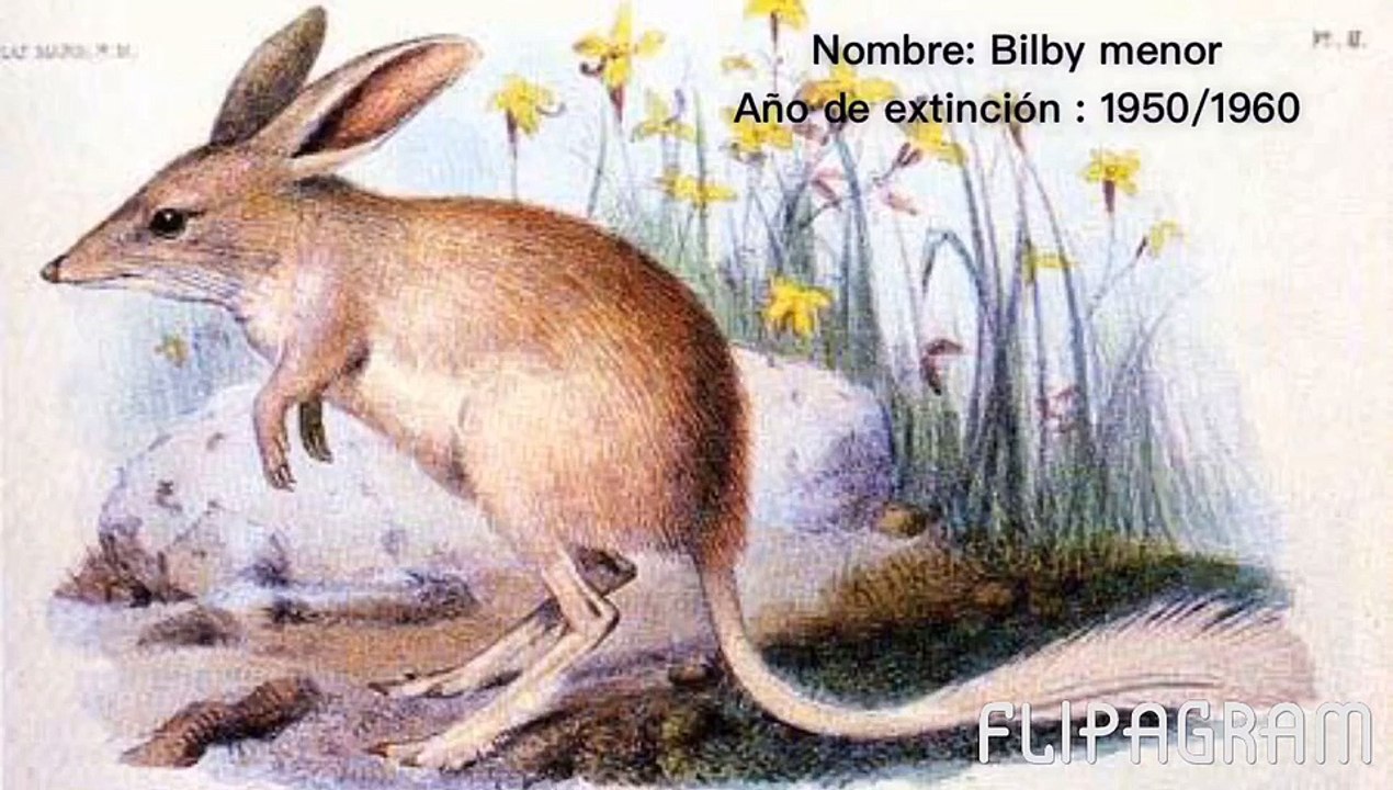 animales extintos.