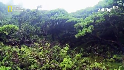 وجهات برية | جزر غير مكتشفة في الاطلنطي HD