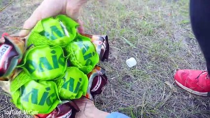 6 Damage Tests with Firecrackers