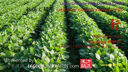Origin of Chinese Characters - 77 行 háng  line, row - Learn Chinese with Flash Cards