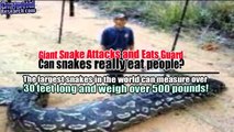 Dangerous Encoutners- Largest Animals, Biggest Dog Species,Top 5 Giant Snakes Caught on Tape 2017
