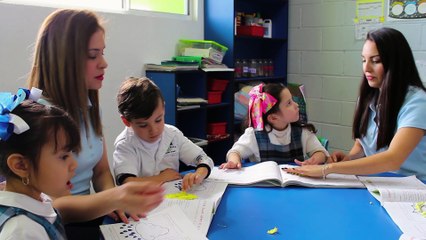 Spot Colegio Seele version 2