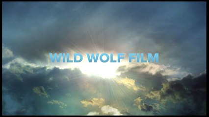 Bison Nation-Walking Sacred Sites