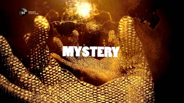 Вот это странно 3 серия. Пришельцы среди нас (2012)