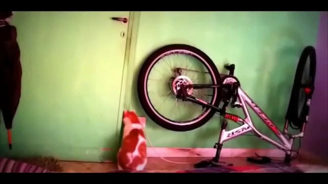 Самые умные коты Сообразительные кошки Смешные животные 2016