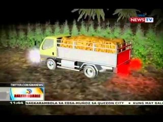 BT: Marwan, napatay habang nasa kubo niya