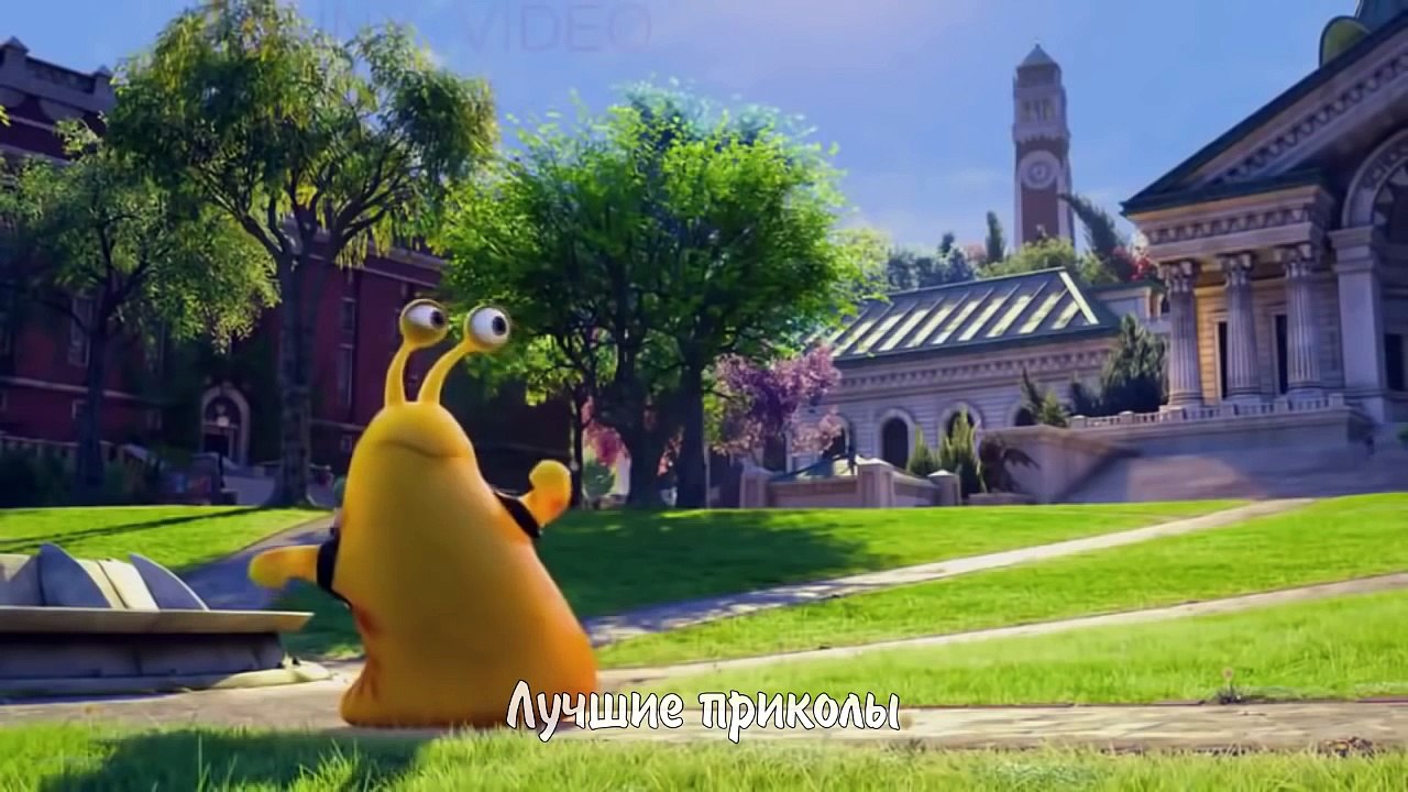 ЛУЧШИЕ ВИДЕО ПРИКОЛЫ 2016 Самые смешные приколы 2016  Выпуск 24