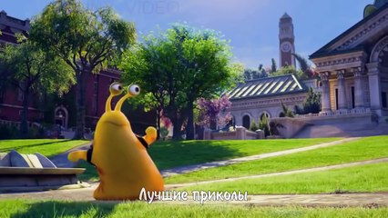 ЛУЧШИЕ ВИДЕО ПРИКОЛЫ 2016 Самые смешные приколы 2016  Выпуск 24