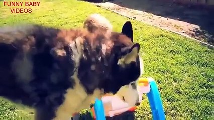 Приколы с детьми      Смешные Видео для детей