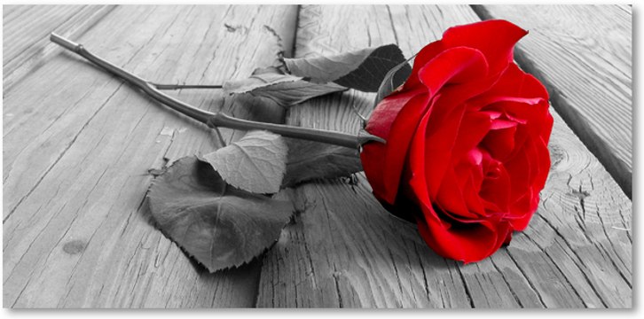 Color Splash Effect - Adobe Photoshop (For Beginners)