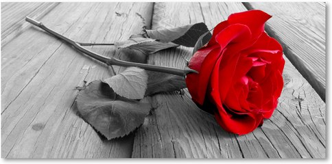 Color Splash Effect - Adobe Photoshop (For Beginners)