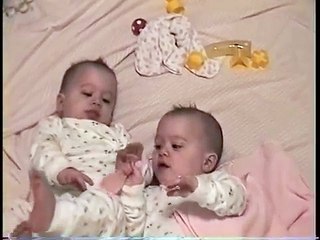 Babys fighting video must watch