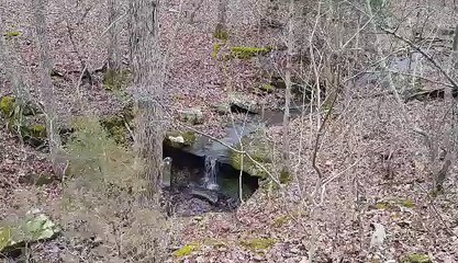 PCT Training Hike on the Big Piney Trail, Paddy Creek Wilderness, Missouri