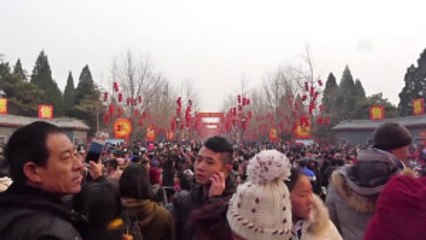 Çin Horoz Yılı'nı Kutluyor