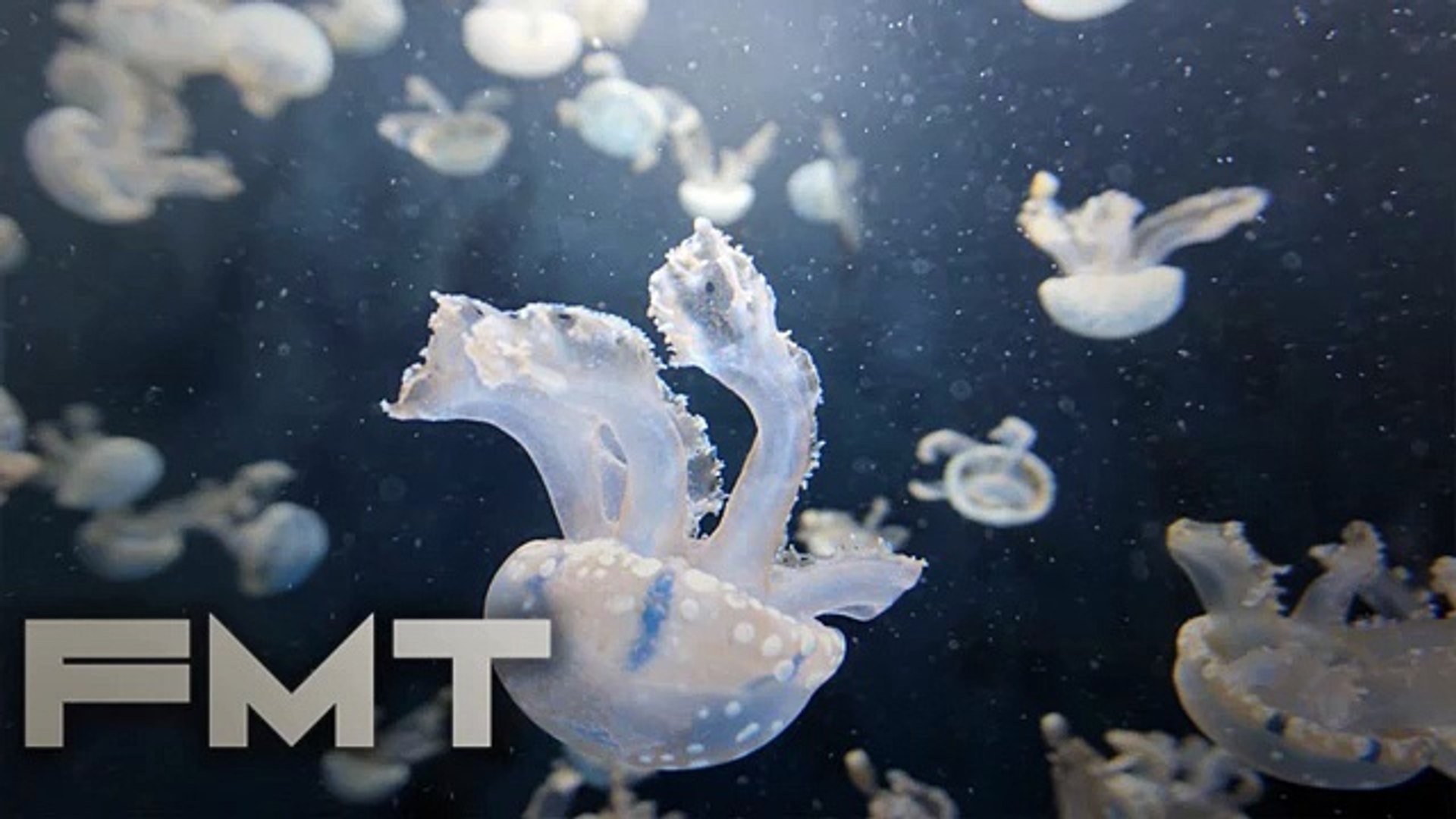 ⁣ChillHop - Eventide - Rain Check - No Copyright Music Sounds - YouTube