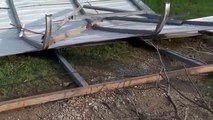 Tornado broadcast interrupted by dog on lawnmower