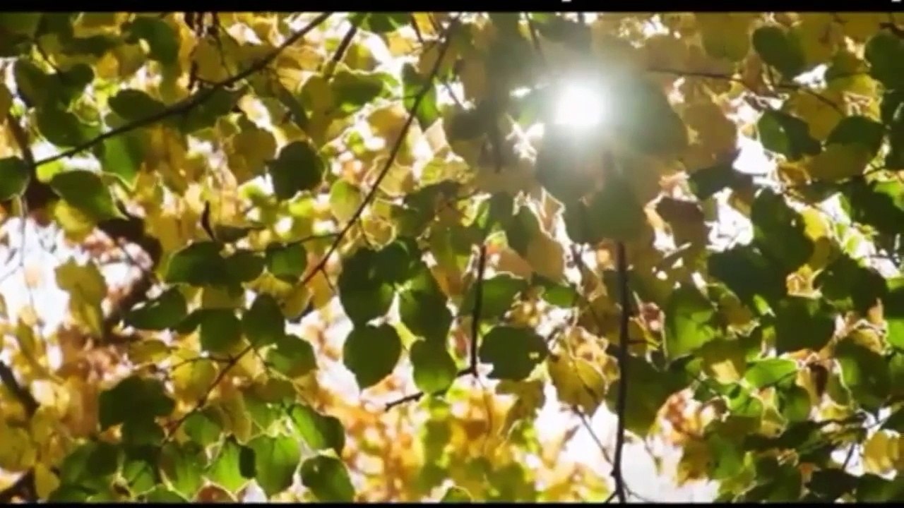 EMMÈNE NOUS DANS TA PRÉSENCE -chant chrétien  d'adoration
