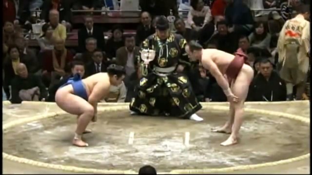 Размер имеет значение? Самый маленкий борец сумо в мире. Смотрим!