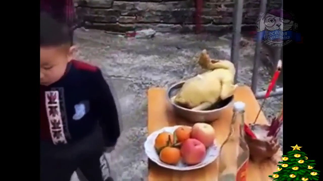 Приколы 2017  УГАРНЫЕ ПРИКОЛЫ ДО СЛЕЗ   Новые смешные видео   лучший тест на психику