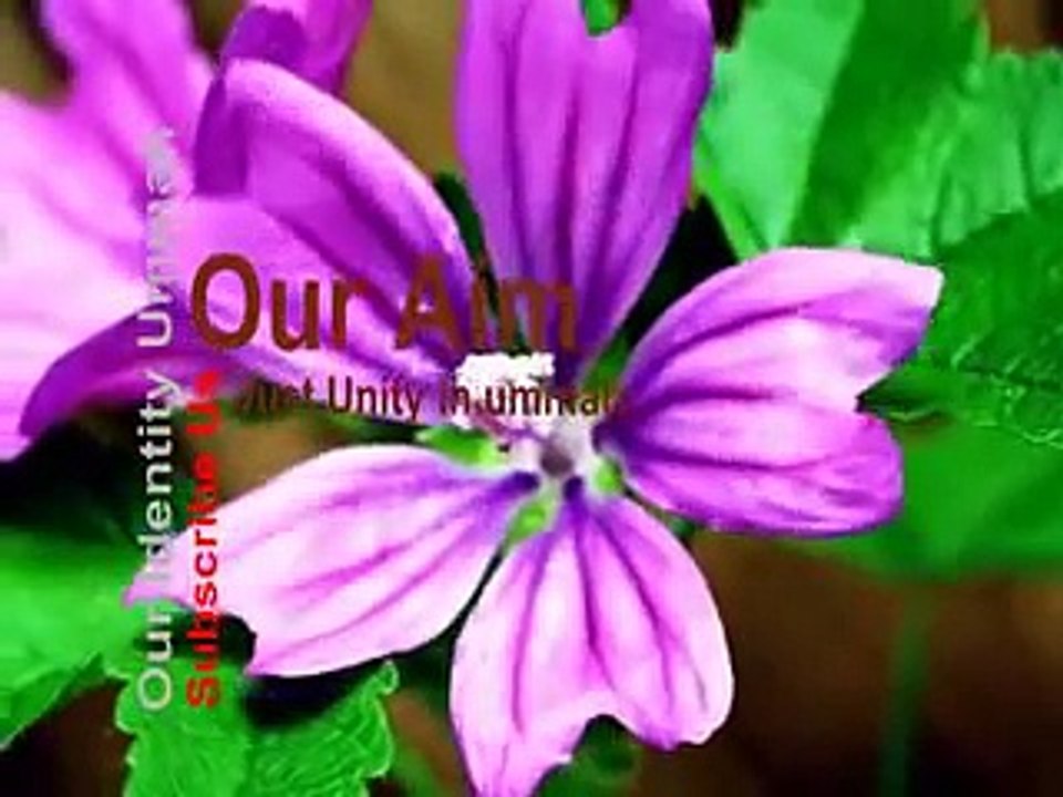 (New)(HD) Lattest Molana Tariq Jamil At Karachi Hall -Humare Nabi Konsa Aashiq Chahty Hain- Dailymotion Noughtygirl532