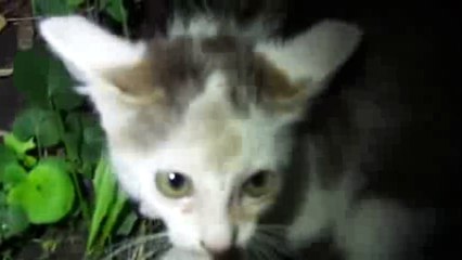 Почему дети начинают материться и как с этим бороться 🚸