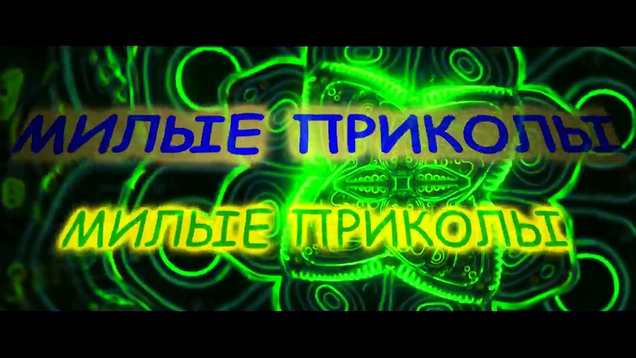 Забавные обезьянки.#7.Amusing monkeys.#7.