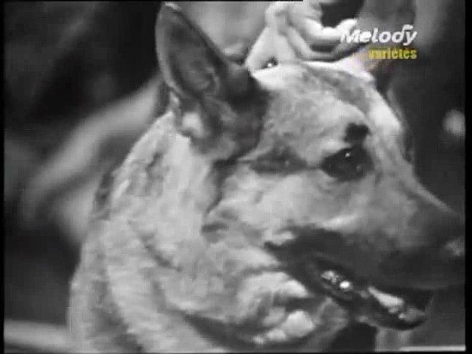 Richard Anthony - Les Mains Dans Les Poches (1967)