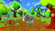 Learning Animals - Tiger Deer Lion Elephant Duck Sounds | Animals Sounds For Kids And Children