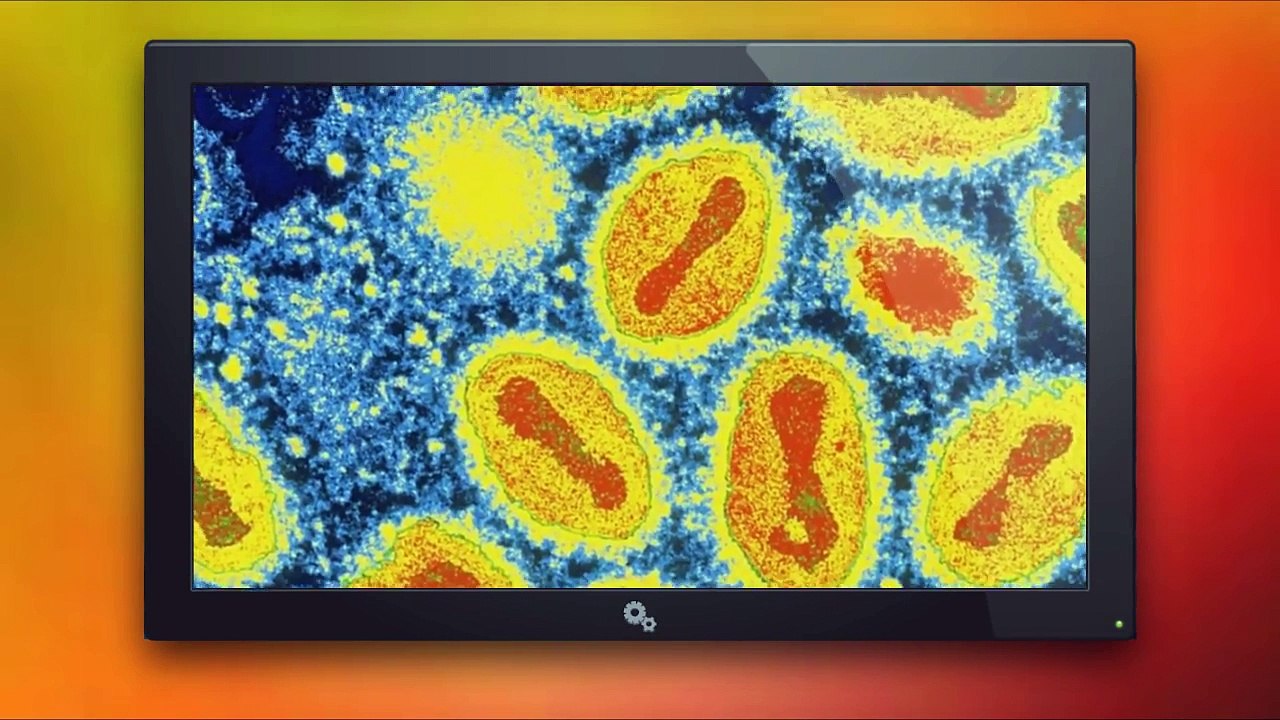 Os 5 VIRUS mais MORTAIS da TERRA