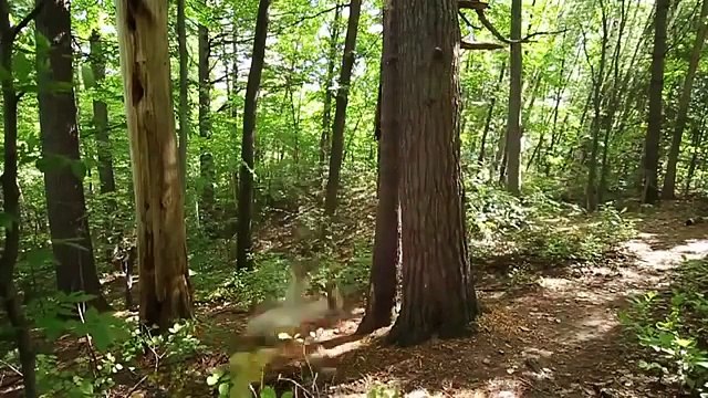 Сборник Убойных ПриколовСУП №171 Приколы 2015 подборка приколов сборник приколов Vine