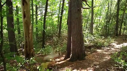 Сборник Убойных ПриколовСУП  №171 Приколы 2015  подборка приколов  сборник приколов Vine