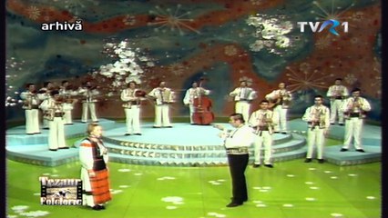 Sava Negrean Brudaşcu - O plecat moţul prin ţară - Tezaur Folcloric 1983