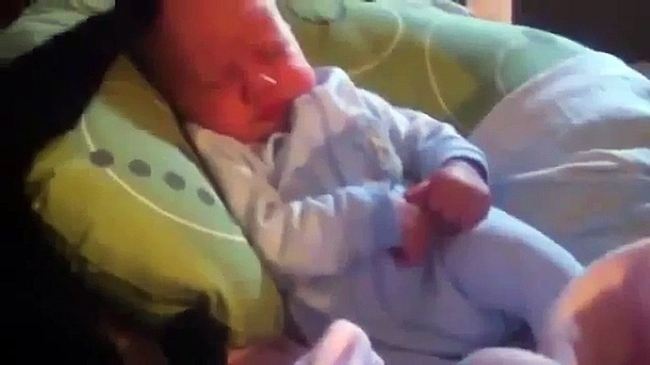 Про прикольную кошку!