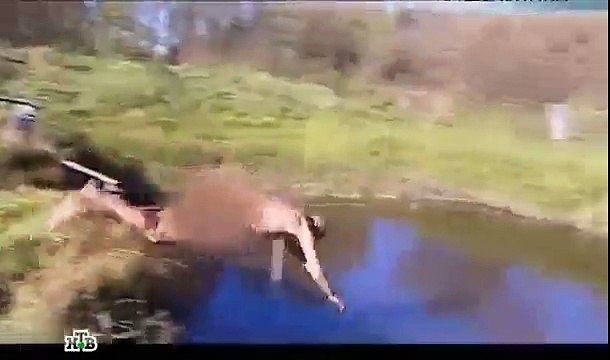 Прелести отшельнической жизни Лучшие Приколы 2016 2017