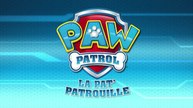 Paw Patrol : La Pat' Patrouille | L'héliportage HD