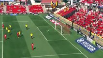 Adelaide United vs Wellington Phoenix 2-2. All Goals Highlights. A-League 29_01_2017