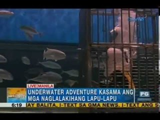 Bonding time with giant lapu-lapus, anyone? | Unang Hirit
