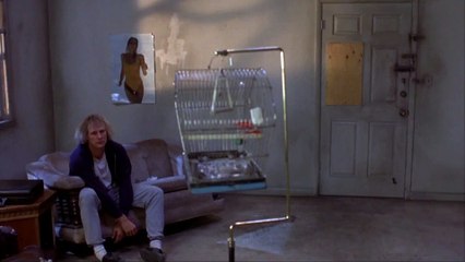 Dumb and Dumber 60fps TEST