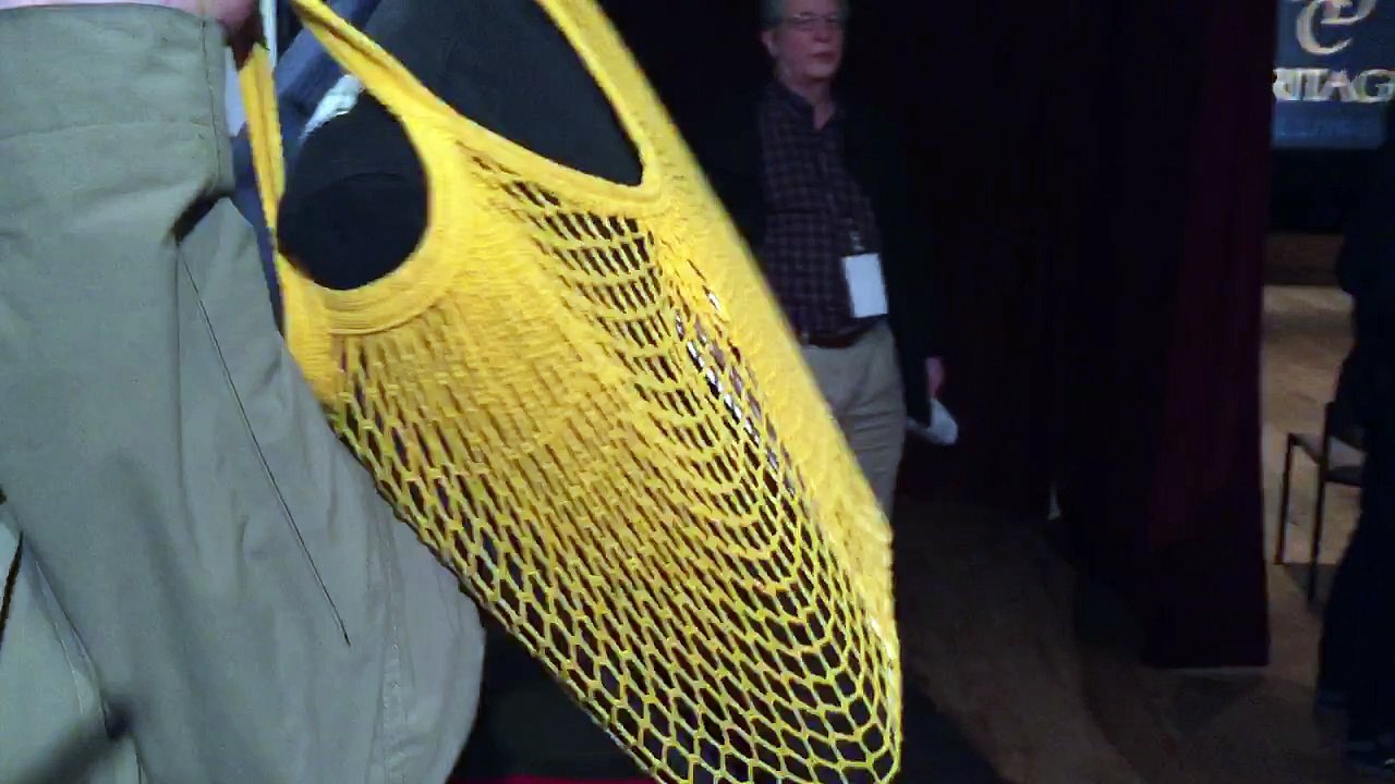 Mrs. L Coon on Opening Night at "Tech Doc Fest " on Public Interest Issues Show.