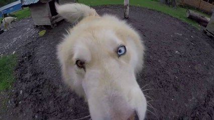 ROLE NA PATAGONIA - PARTE 3 - USHUAIA - TERRA DO FOGO