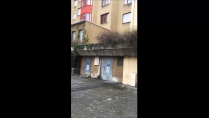 Bourgoin-Jallieu : Des rats au Pont Saint-Michel