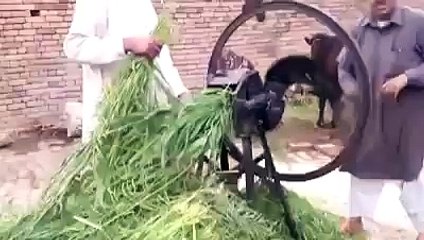 Fakirlik Adamı Mucit yapar 3